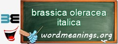 WordMeaning blackboard for brassica oleracea italica